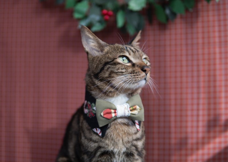 【圣诞限定系列】宠物领巾 猫咪/狗狗 圣诞领巾 - 黑 - 项圈/牵绳 - 棉．麻 黑色