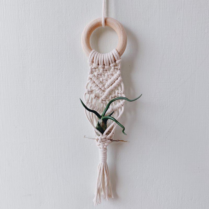 空气凤梨编织篮 | Macrame mini air plant hanger - 摆饰 - 棉．麻 白色