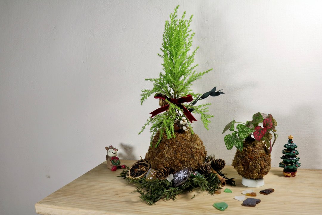 圣诞树苔球和小花圈手作体验 台北场 - 植栽 - 植物．花 