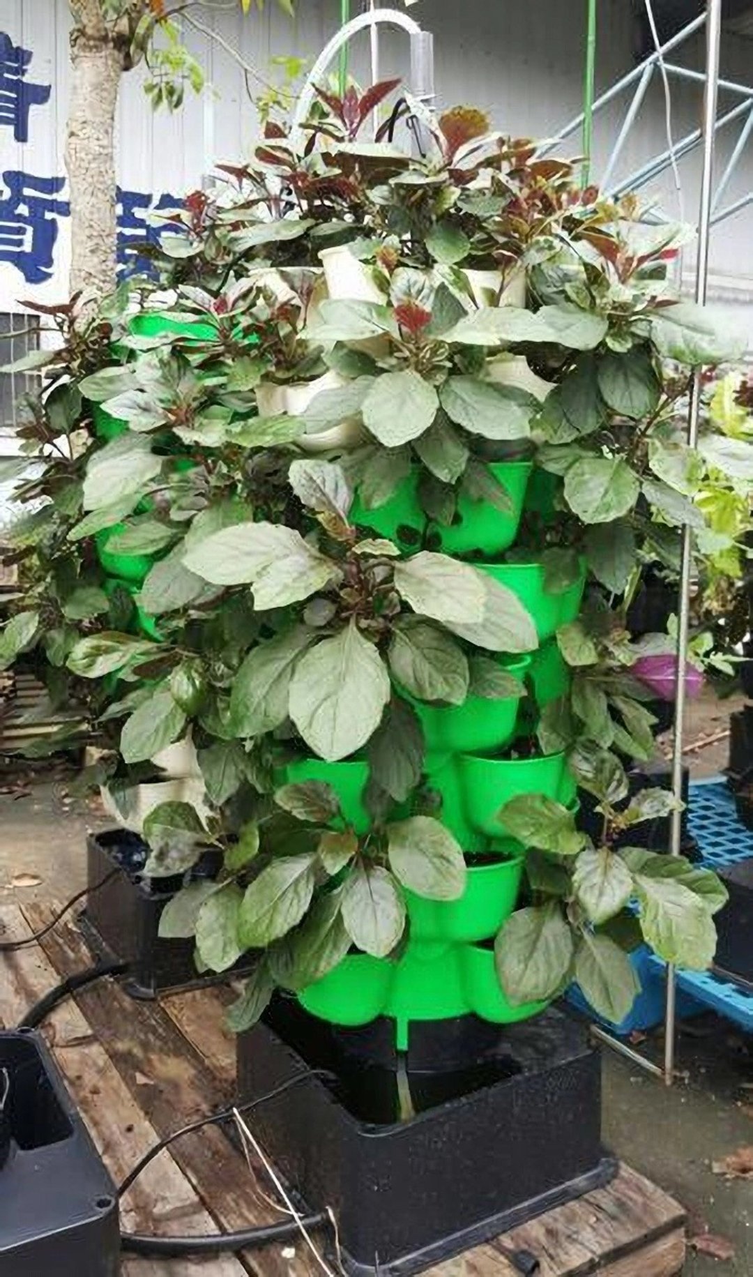 立体植栽花盆　蔬菜塔　适合都市农夫阳台有机种植　立体种菜箱 - 其他 - 塑料 绿色