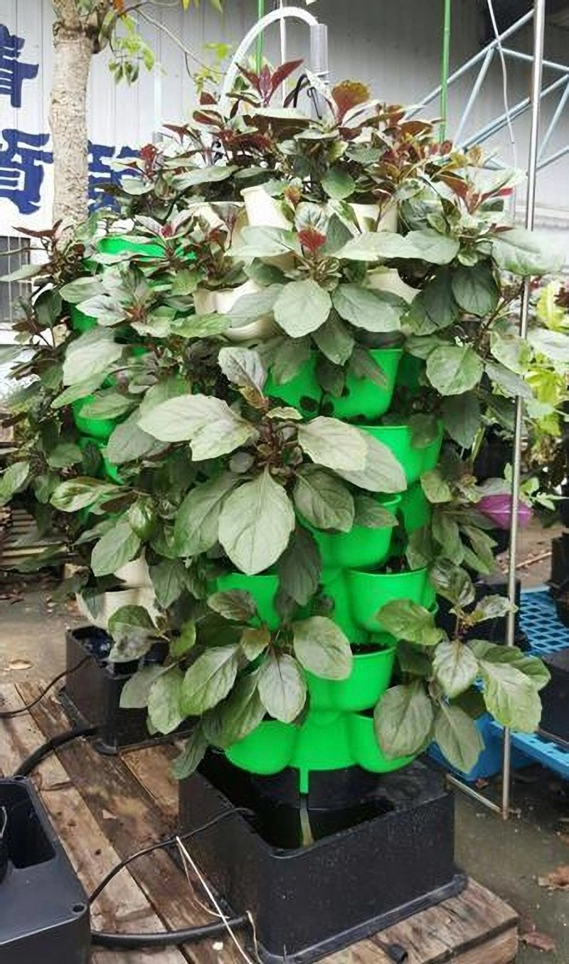 立体植栽花盆　蔬菜塔　适合都市农夫阳台有机种植　立体种菜箱 - 其他 - 塑料 绿色