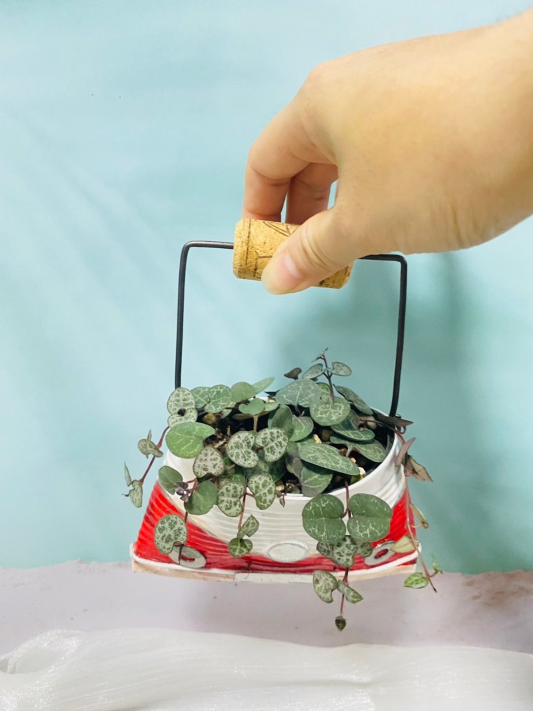 手作杂货 DIY铁罐手工创作 蝶谷巴特创意铁罐 - 植栽/盆栽 - 其他材质 红色