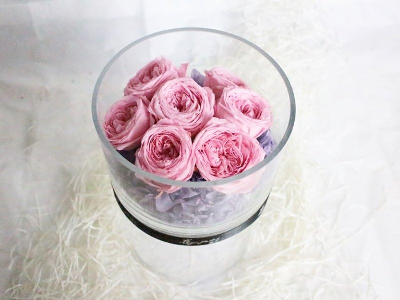 永恒的爱(浪漫粉) - 植栽/盆栽 - 植物．花 粉红色