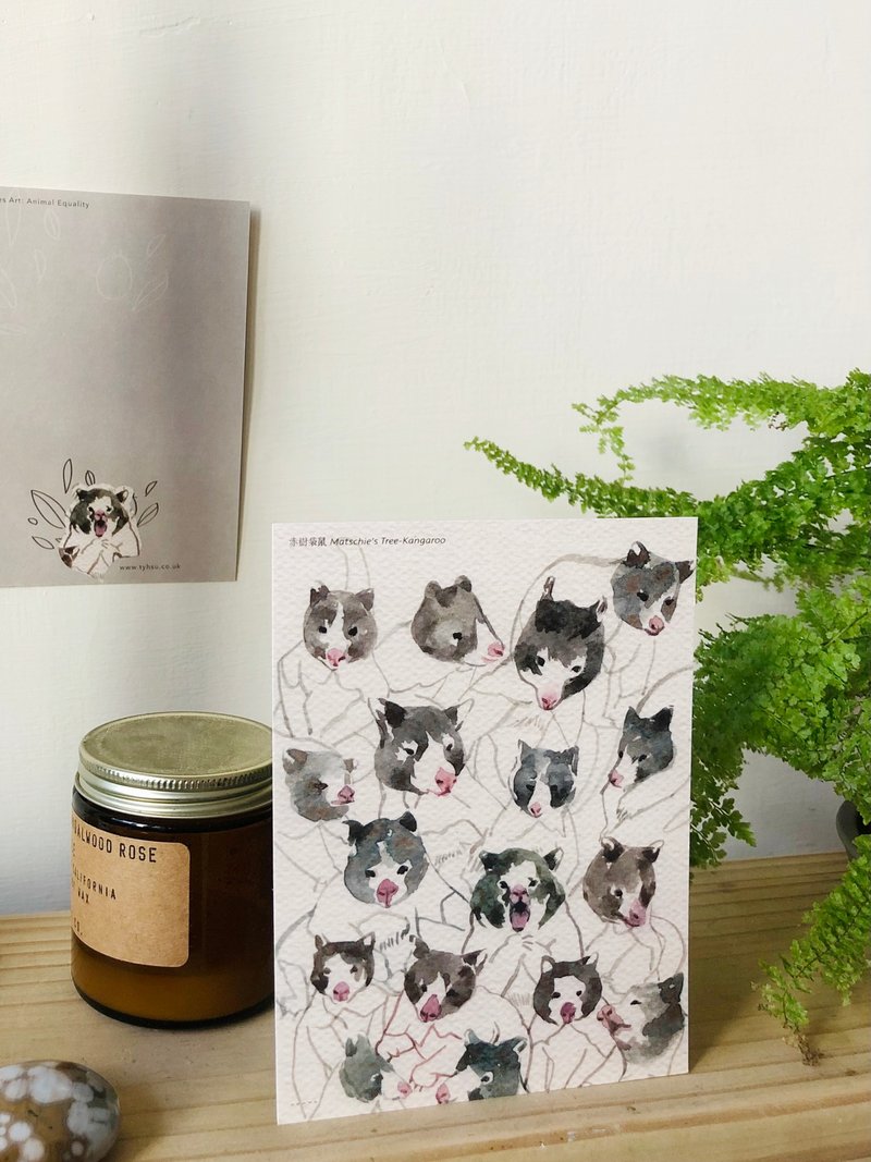 赤树袋鼠, 濒危物种:明信片小卡 - 卡片/明信片 - 纸 白色