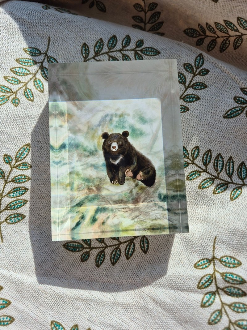 疗愈水晶画-台湾小黑熊 - 摆饰 - 压克力 