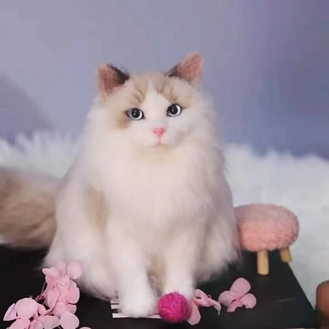 定制化礼物 逼真猫猫 羊毛毡 毛孩 宠物 娃娃 猫咪猫奴 似颜绘 a8 - 玩具 - 羊毛 多色