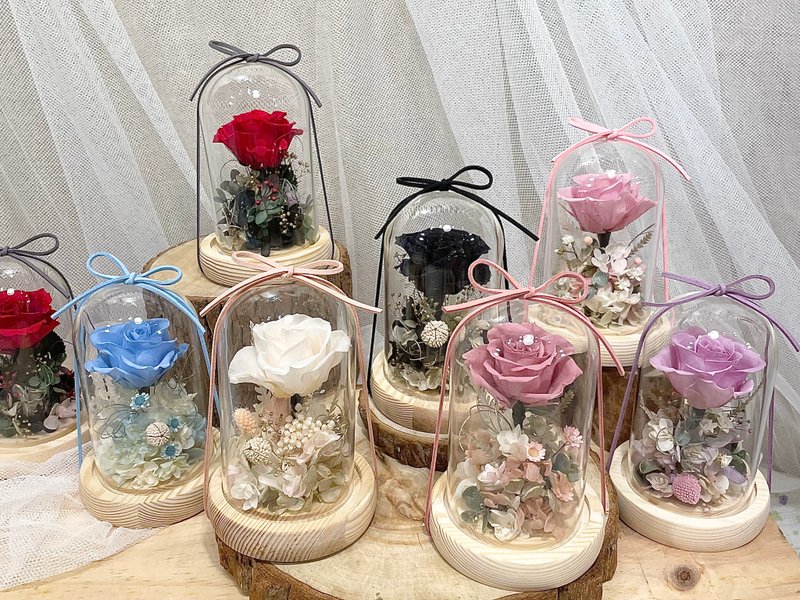 小梦境花艺-永生花玻璃钟罩 / 日本大地农园永生玫瑰 情人节礼物 - 干燥花/捧花 - 植物．花 白色