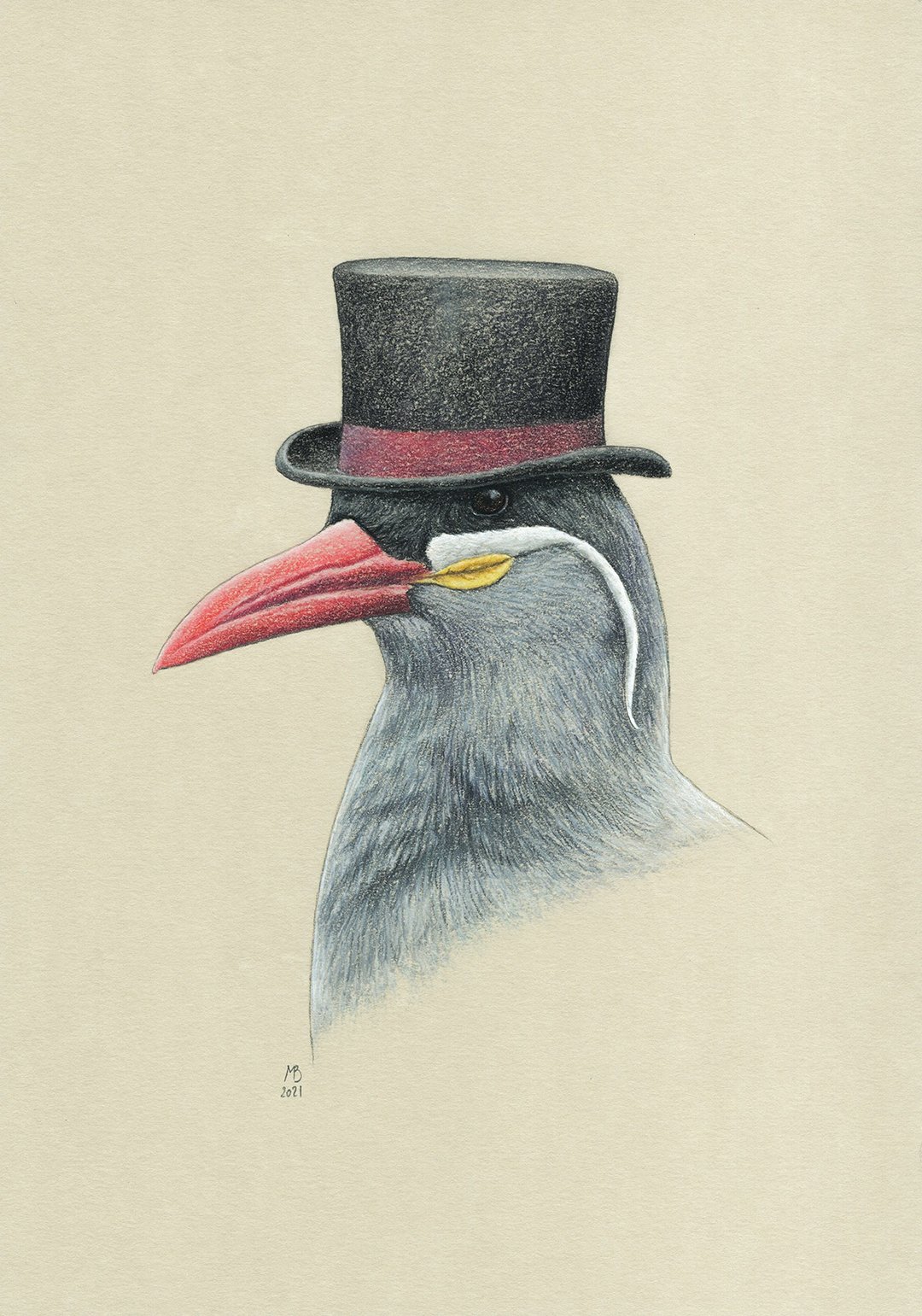 Original pastel drawing bird Inca tern - 海报/装饰画/版画 - 其他材质 多色