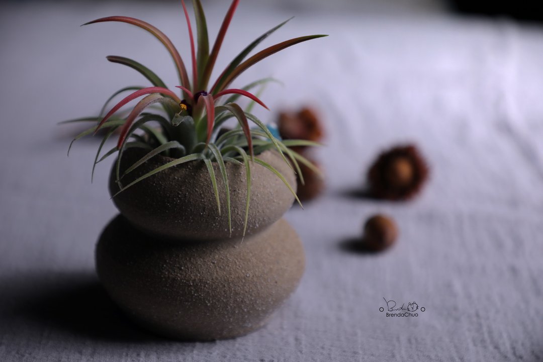 春郎陶-年糕花影-花器 - 花瓶/陶器 - 陶 