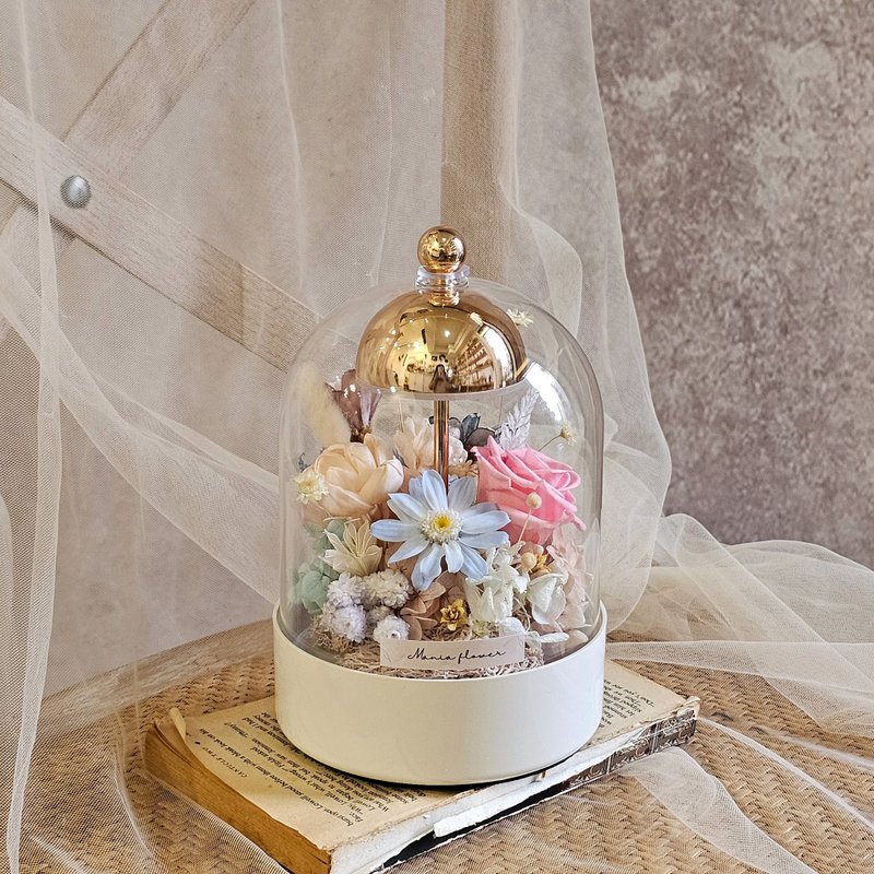 拍拍玻璃罩夜灯 /粉蓝色系  现货 快速出货 附USB插座 - 干燥花/捧花 - 植物．花 多色