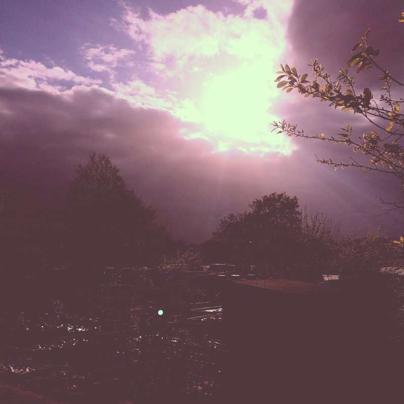 一个未知的世界│无酸相纸│英国制作│可自行裱褙│原作出清 - 海报/装饰画/版画 - 纸 紫色