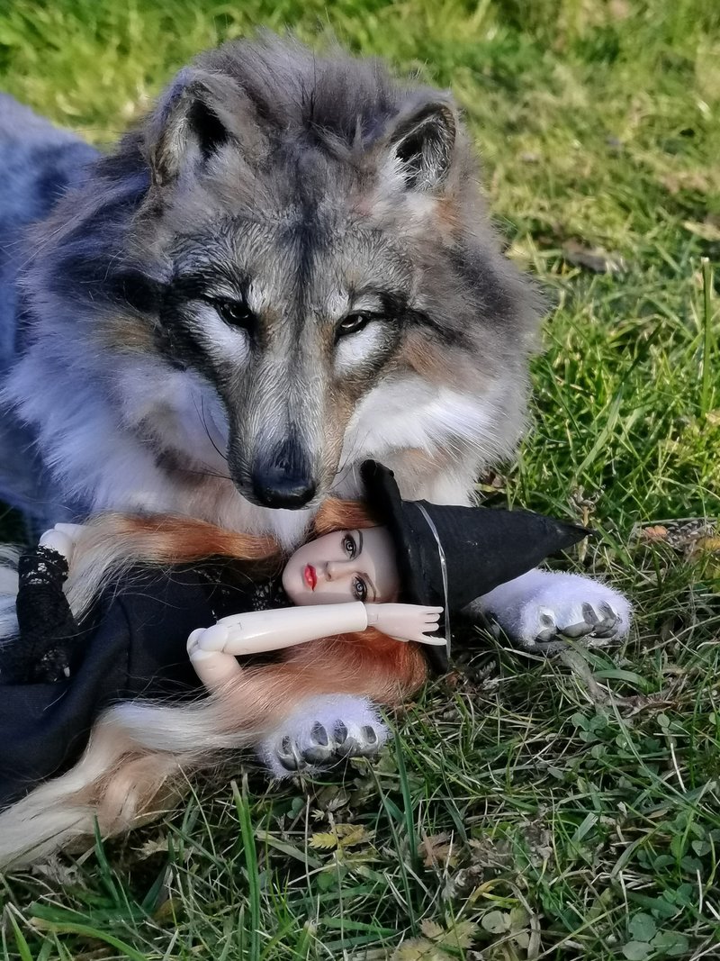 定制化狼逼真动物填充可摆姿势艺术娃娃 - 玩偶/公仔 - 其他人造纤维 灰色