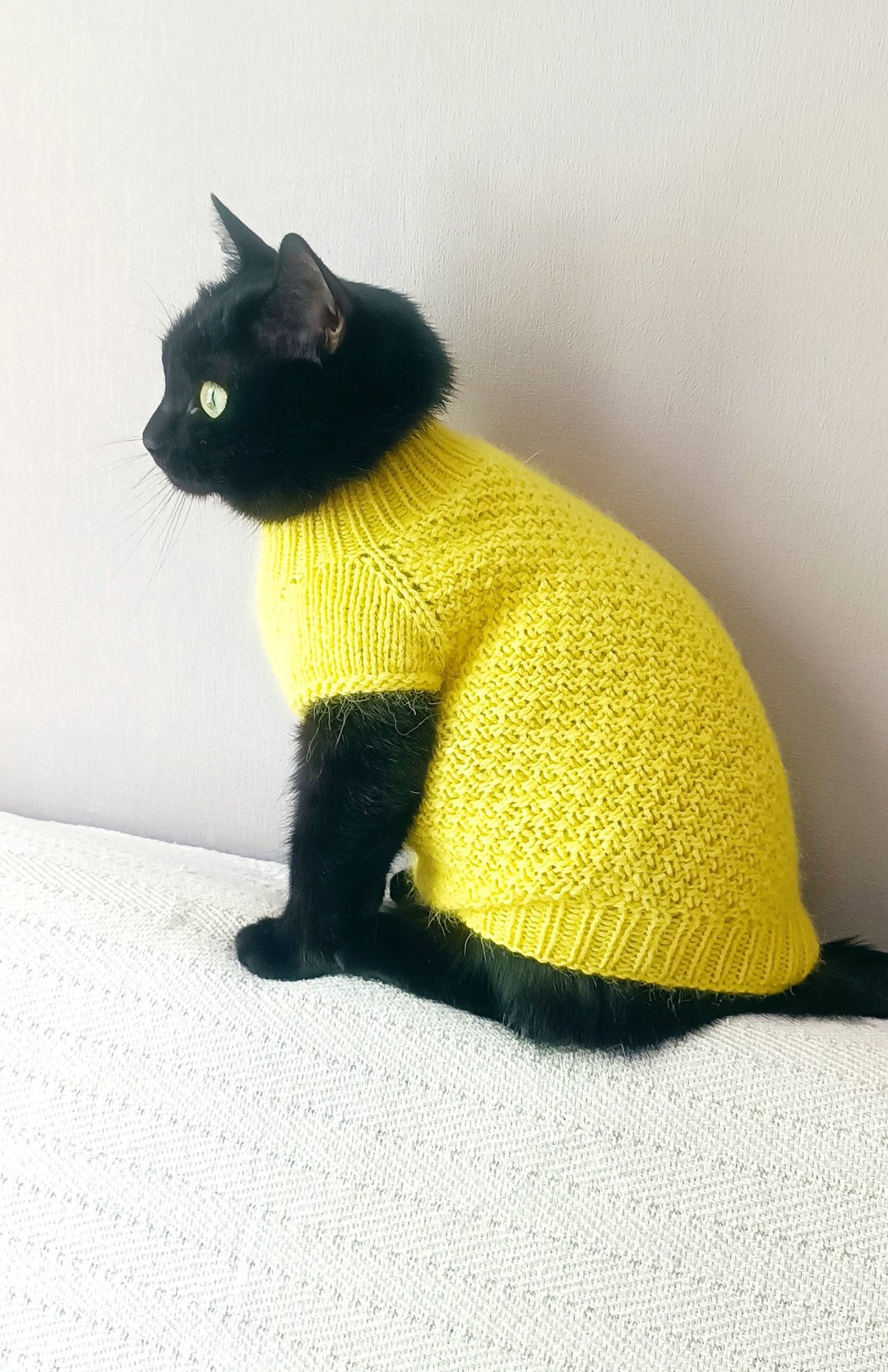 猫毛衣 宠物衣服 针织猫毛衣 小狗衣手作 - 衣/帽 - 羊毛 