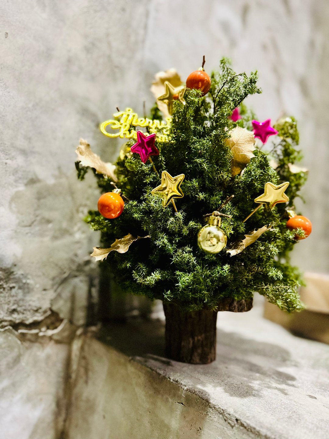 chu chu 雪松许愿圣诞树 预购中!!  自取/台北可送 - 干燥花/捧花 - 植物．花 绿色