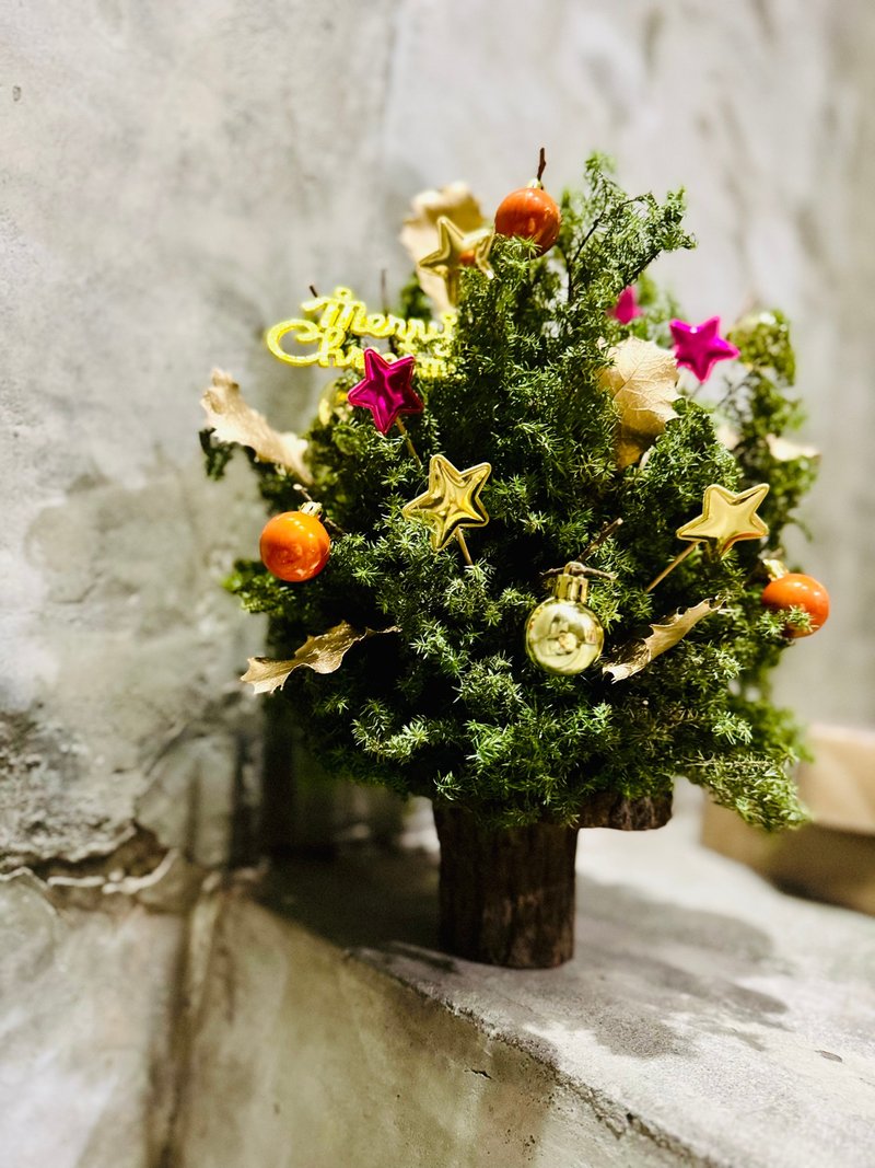 chu chu 雪松许愿圣诞树 预购中!!  自取/台北可送 - 干燥花/捧花 - 植物．花 绿色
