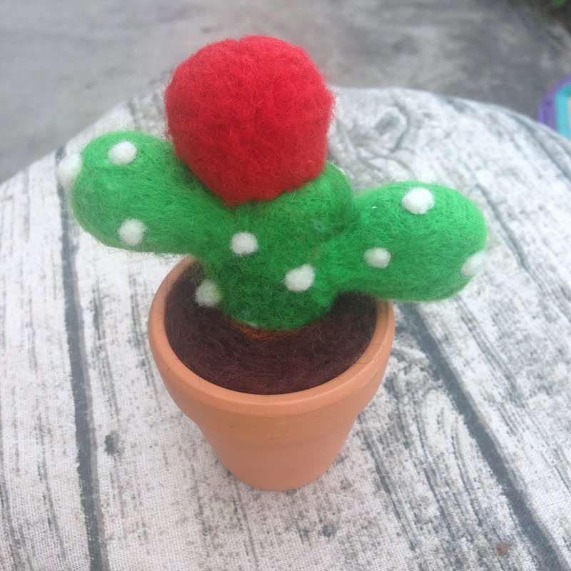 ‘多肉系列’仙人掌 - 植栽/盆栽 - 羊毛 绿色