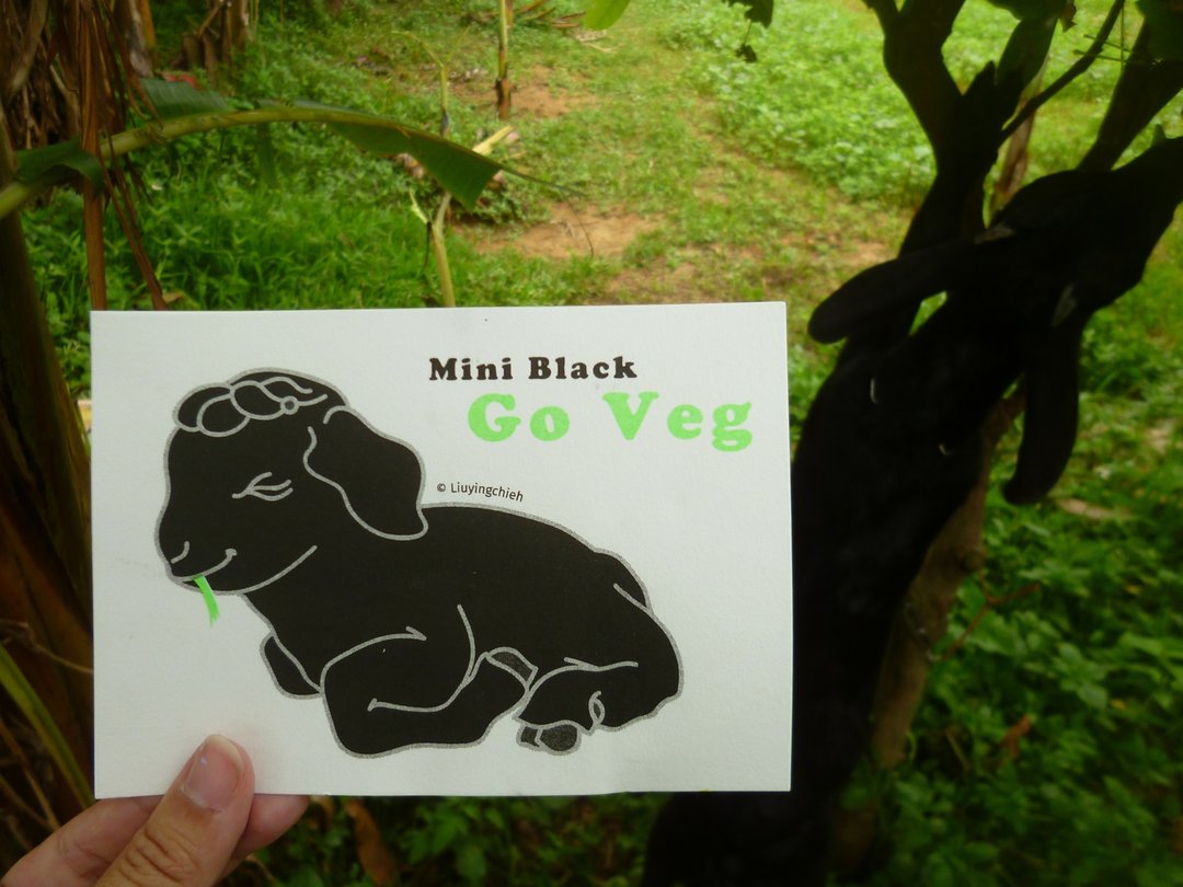 Goat Kid Go Veg 山羊 VEGAN 迷你黑 Riso 萤绿 Risograph 明信片 - 卡片/明信片 - 纸 绿色