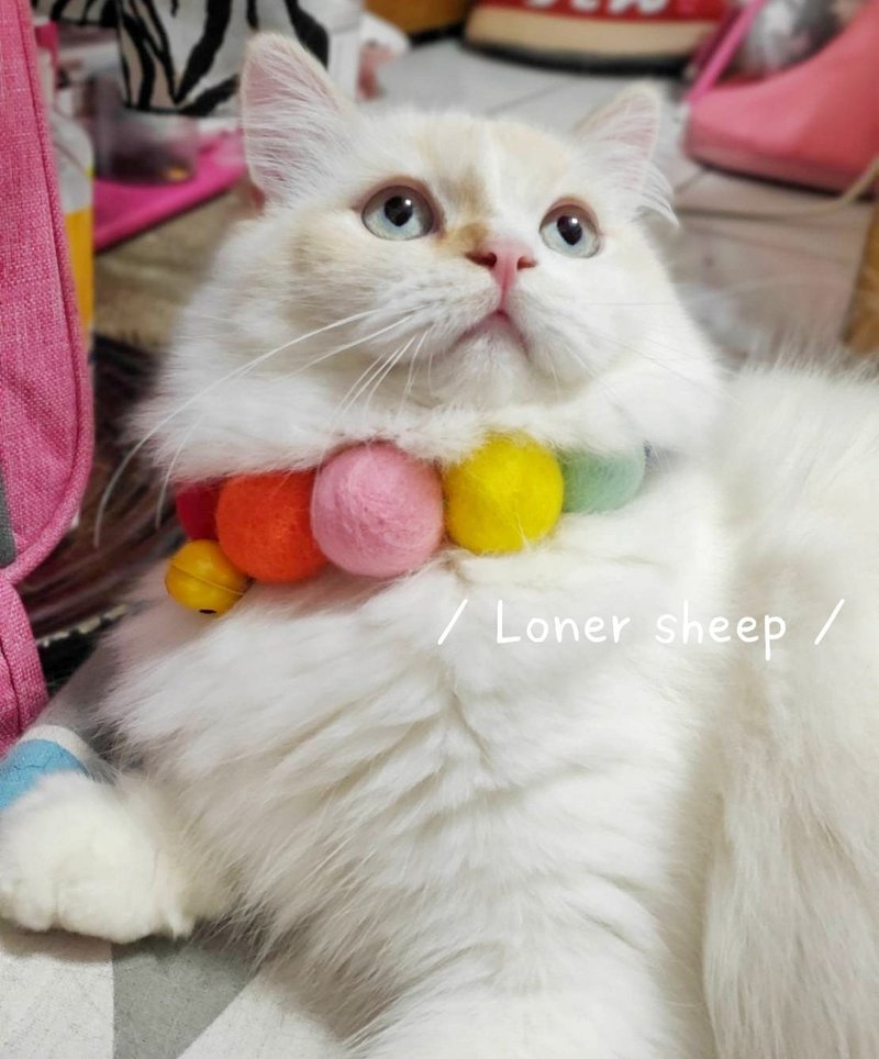 【定制化颜色】羊毛毡项圈/毛小孩项圈 宠物项圈 羊毛球项圈 - 项圈/牵绳 - 羊毛 