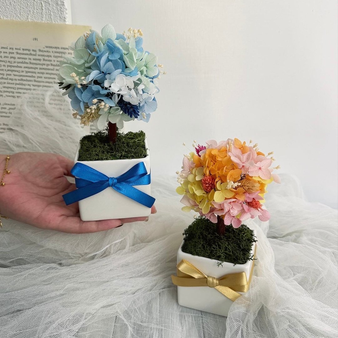 伊登花室 永生绣球花树 干燥花 单个贩售 - 干燥花/捧花 - 植物．花 多色