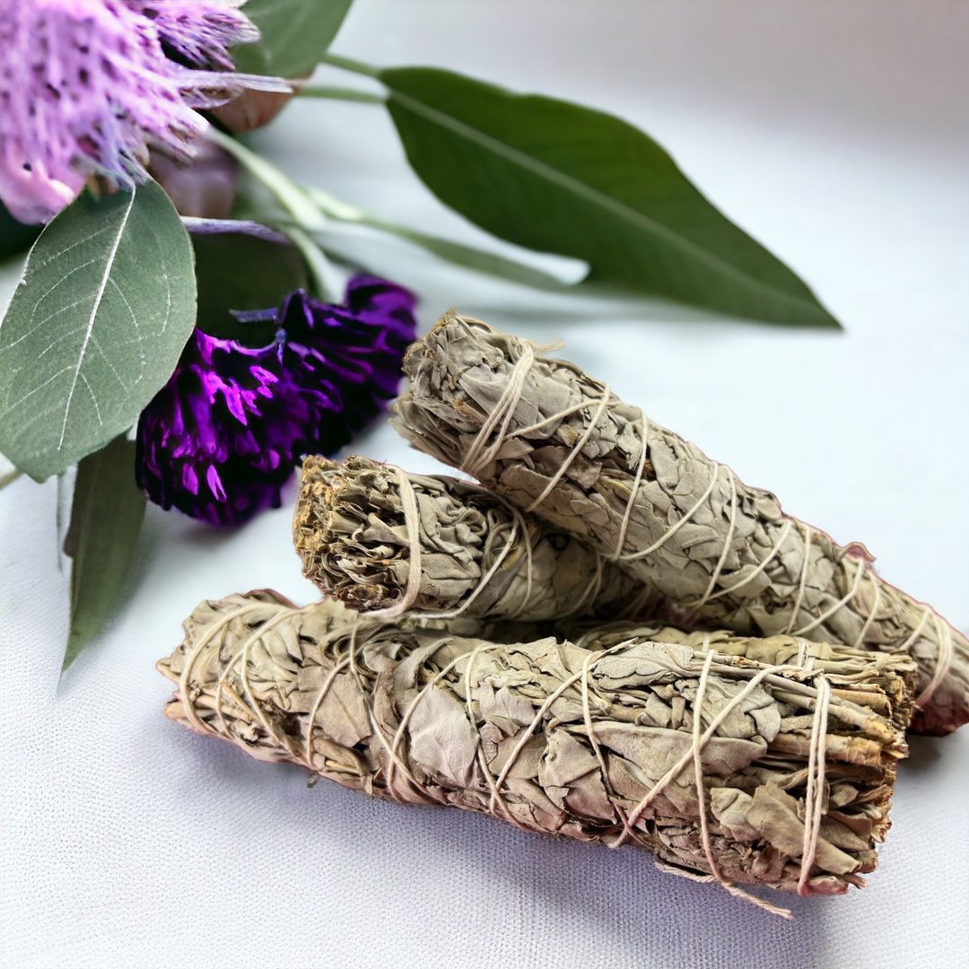 加州白鼠尾草 - 干燥花/捧花 - 植物．花 灰色