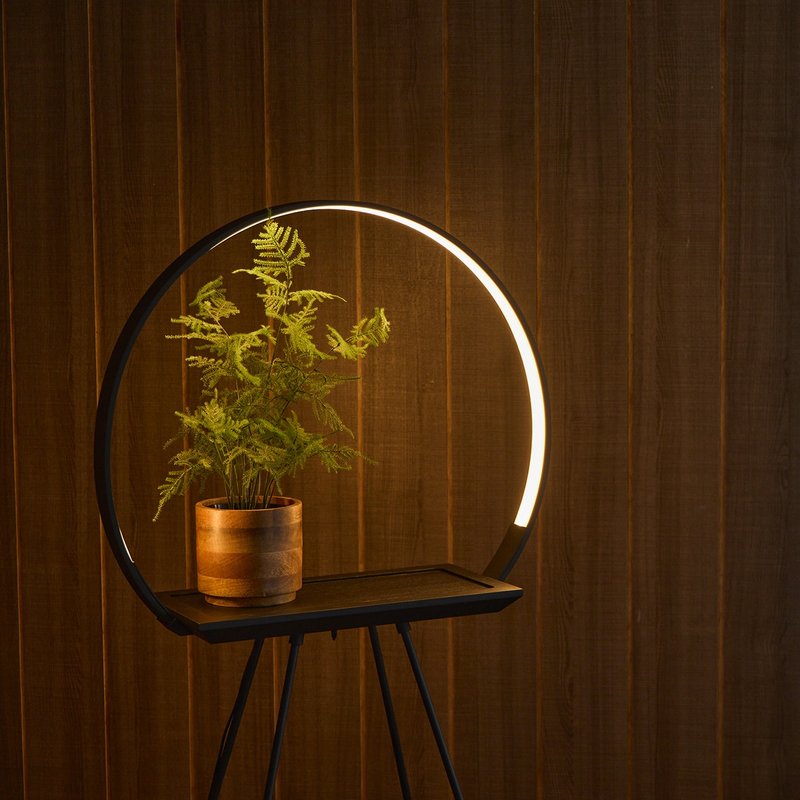 camino X MASSIMO Halo Lamp 植生圆柔灯桌 植物灯 摆饰 LED 灯 - 灯具/灯饰 - 其他材质 黑色