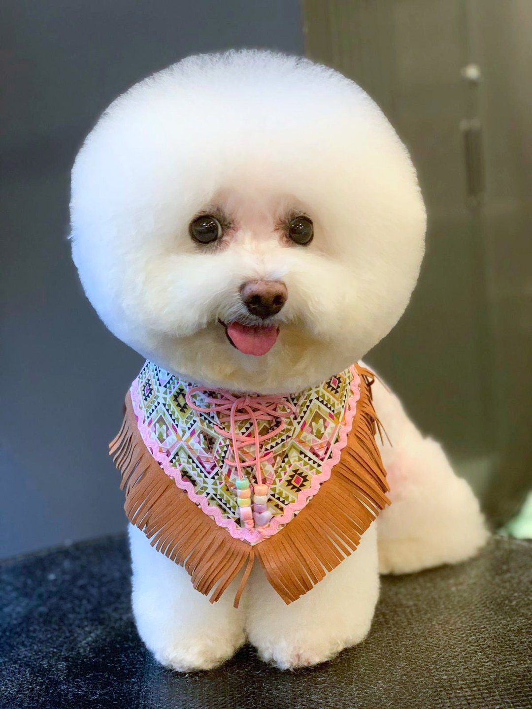 波西米亚 民族流苏 牛仔风造型 颈饰 颈项 collar - 衣/帽 - 棉 粉红色