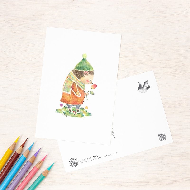 Set of 5 pieces. Like a picture book. Postcard "Hedgehog Colon" PC-254 - 卡片/明信片 - 纸 橘色
