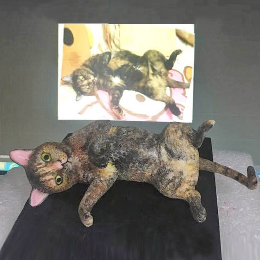 定制化 侧仰躺的花猫 - 其他 - 粘土 