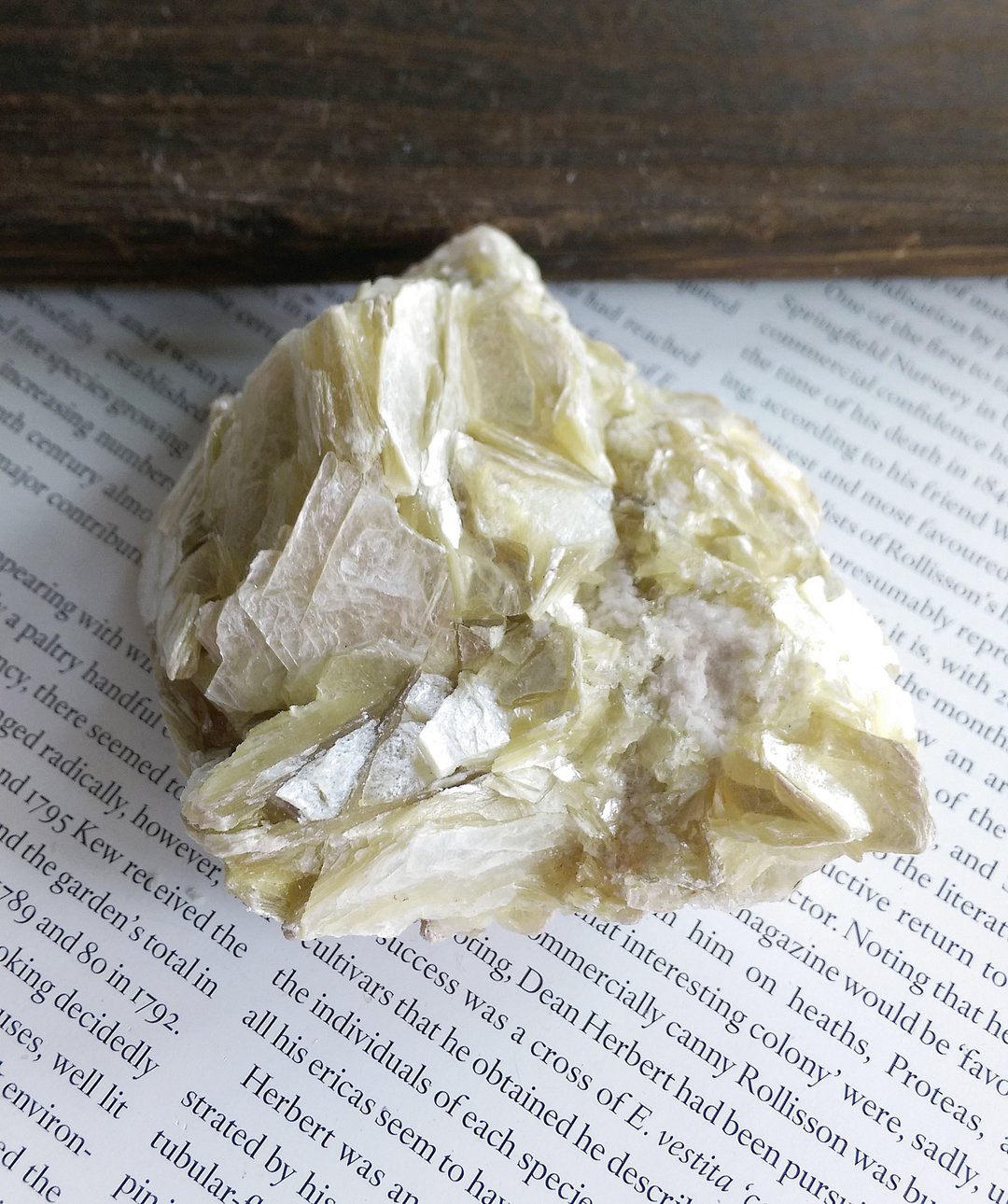 Mica 秘鲁产地 金云母 造岩矿物 天然矿石 原矿 - 摆饰 - 其他材质 