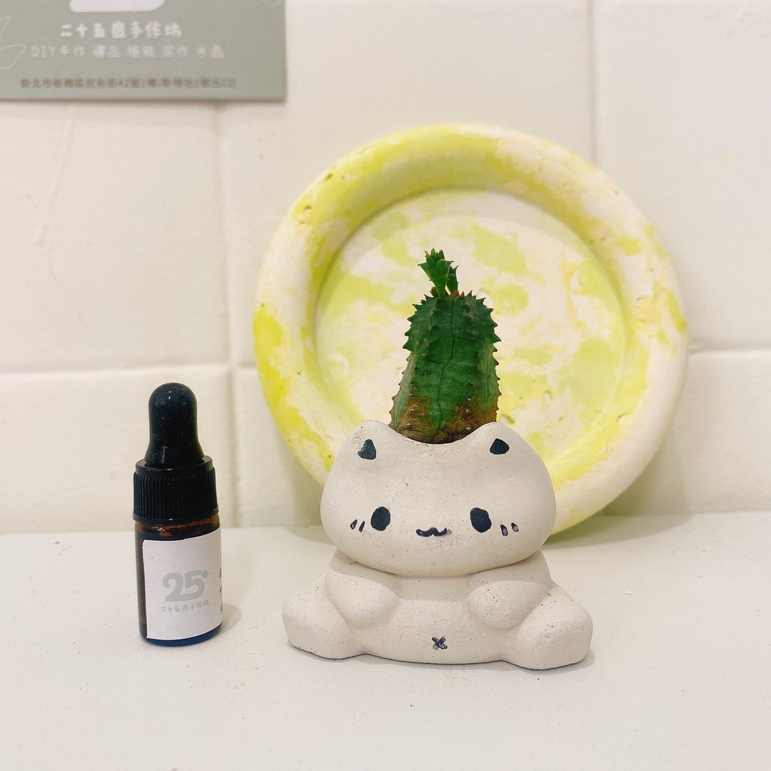 【扩香小盆景】多肉 x 坐坐猫水泥扩香盆栽 圣诞礼物 企业礼品 - 植栽/盆栽 - 水泥 
