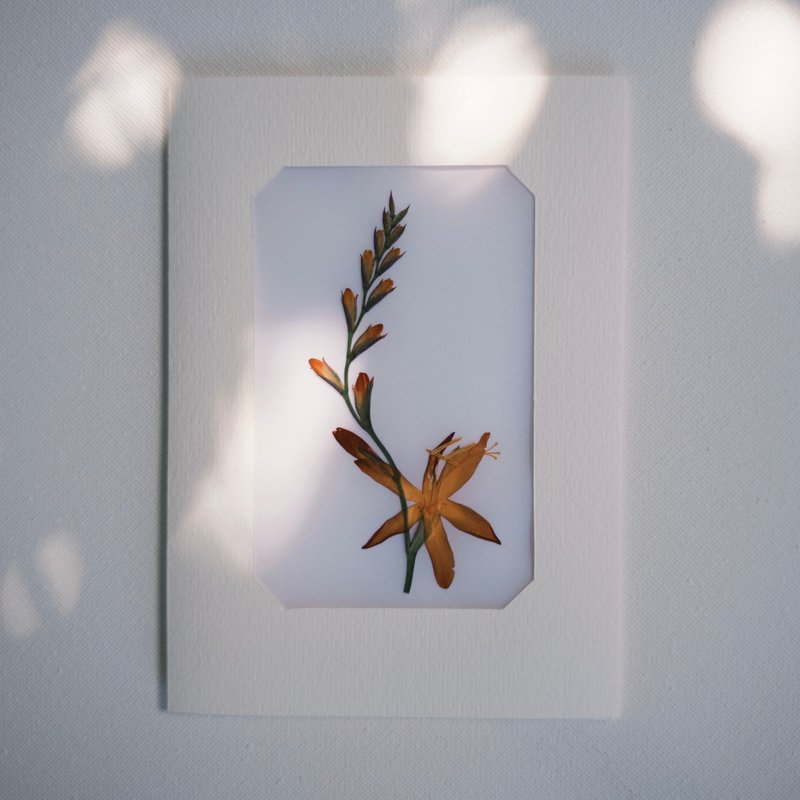 Airness 押花心意卡 - 卡片/明信片 - 纸 白色