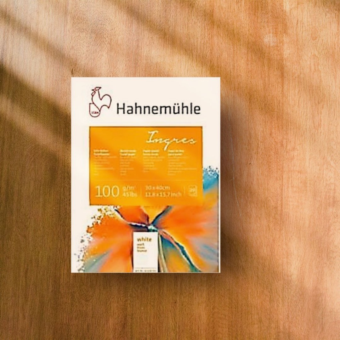 德国 HAHNEMUHLE  粉彩纸/30*40cm/100gsm - 插画/绘画/写字 - 纸 白色