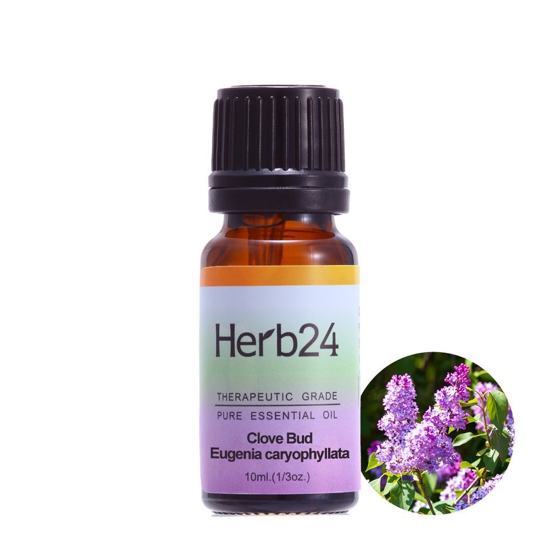 丁香 纯质精油 10ml - 香薰/精油/线香 - 精油 