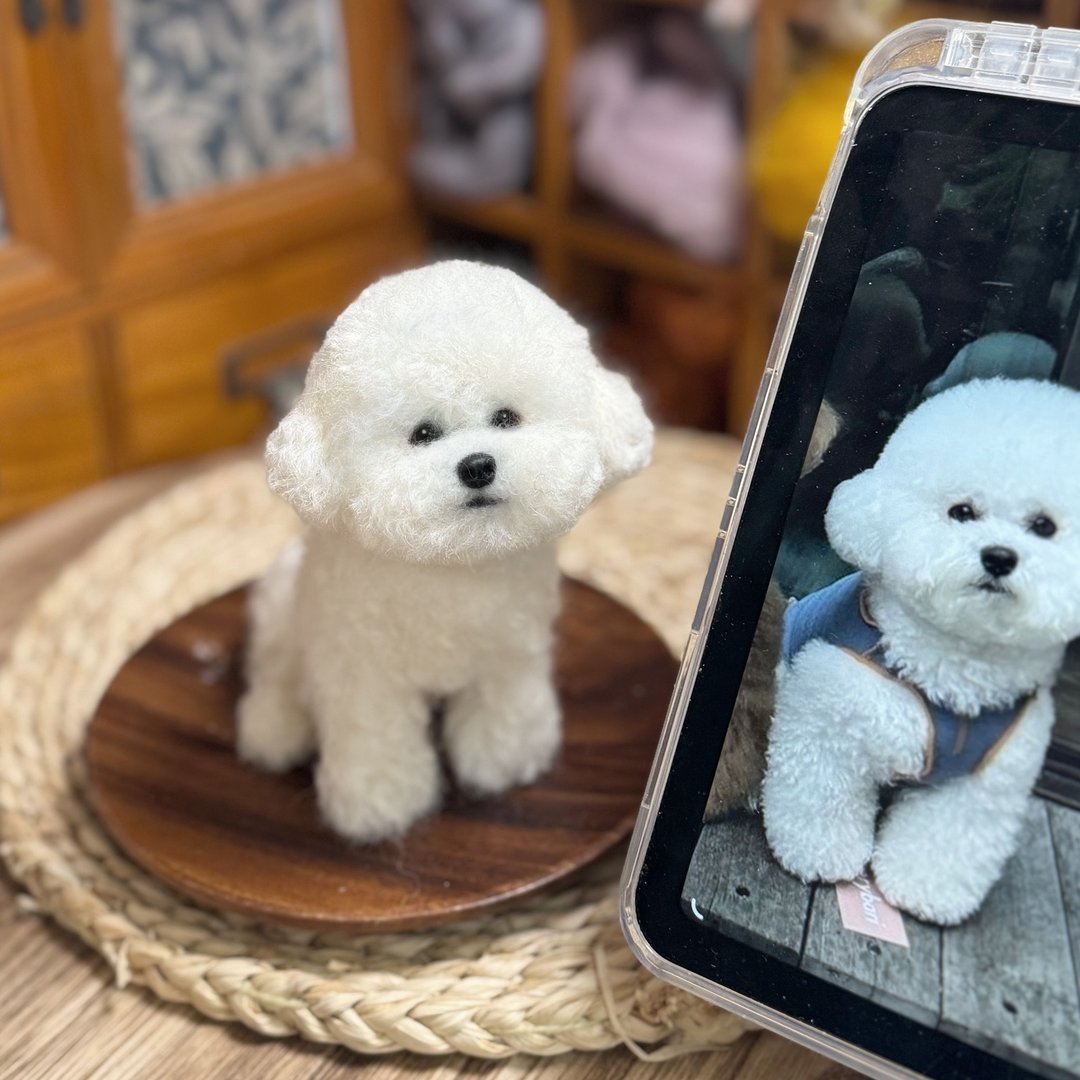 羊毛毡定制化宠物 | 比熊犬 | 仿真拟真狗狗包玻璃罩 | 生日情人送礼物 - 玩偶/公仔 - 羊毛 