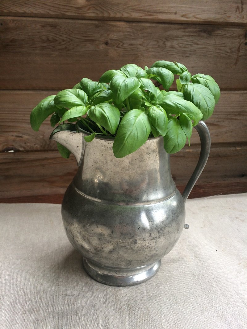 银色铜制水壶 - 植栽/盆栽 - 其他金属 银色