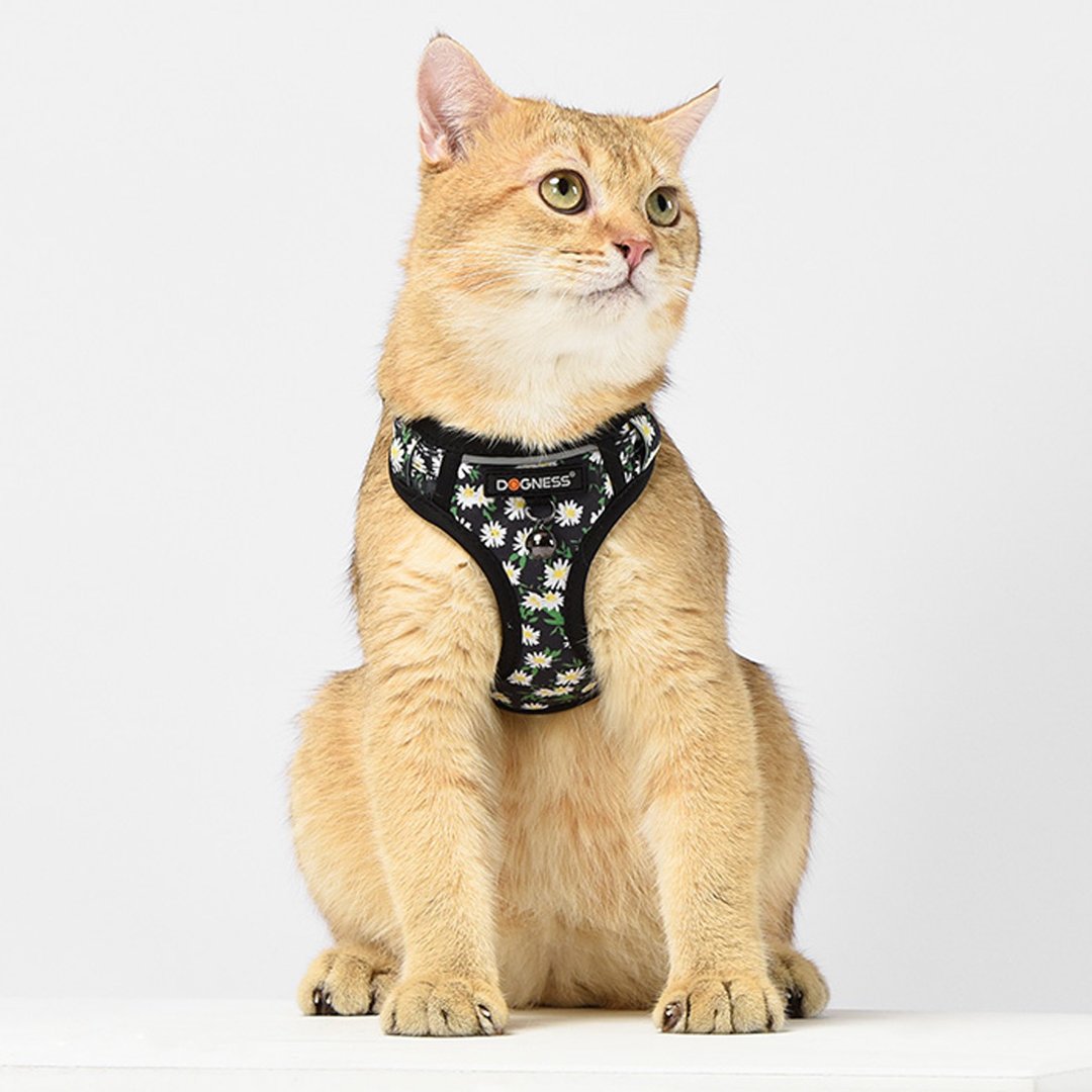 【DOGNESS多尼斯】猫用外出套装(多款)   宠物 猫咪 - 其他 - 聚酯纤维 多色