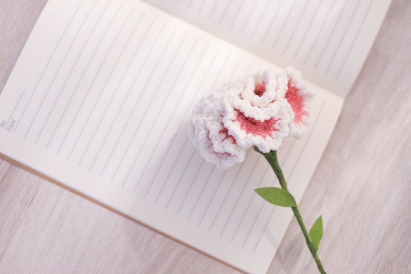 【台北钩针编织】手织康乃馨 母亲节限定 - 编织/羊毛毡/布艺 - 其他材质 