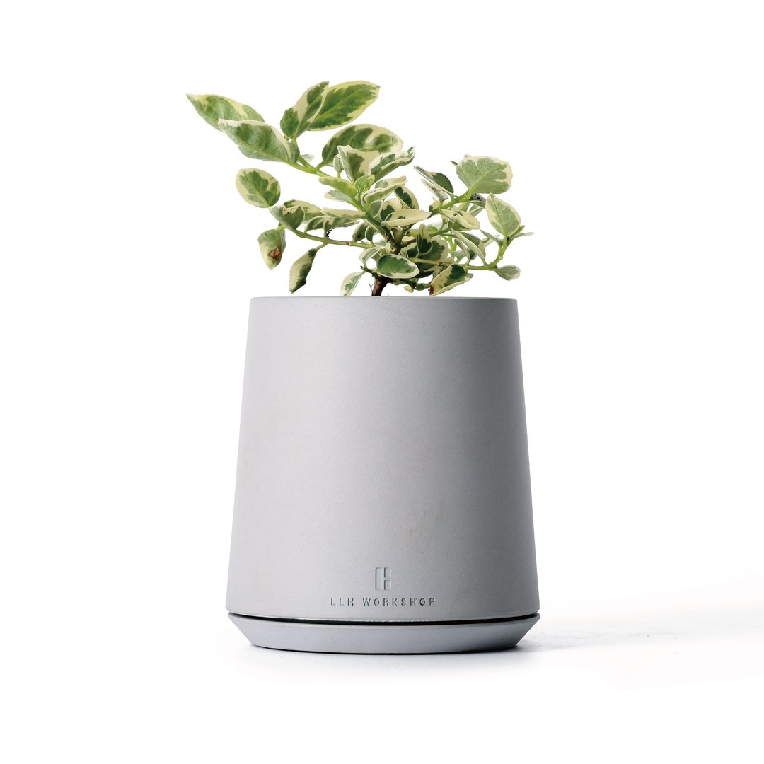 Hill_小山盆(带接水盘)/盆栽/多肉/观叶/盆器 - 植栽/盆栽 - 水泥 多色