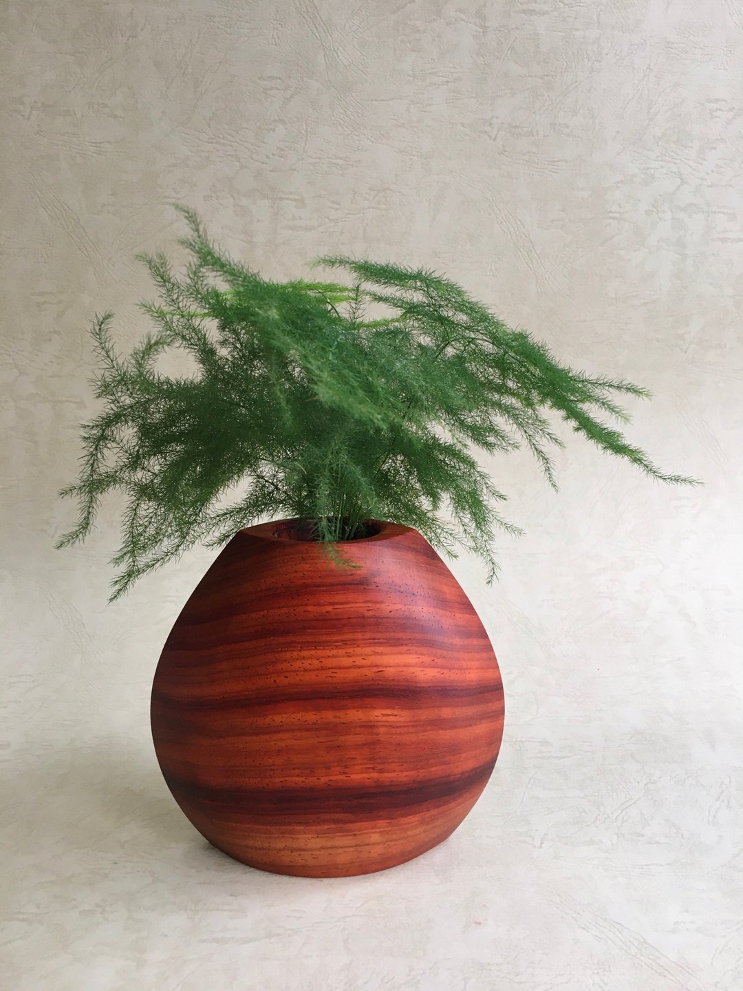 Light Forest 贝壳瓶 非洲紫檀木 扩香瓶、花器 圣诞节 交换礼物 - 香薰/精油/线香 - 木头 白色