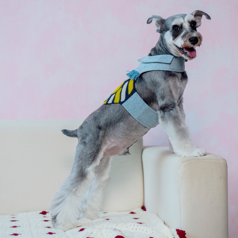 衣服式胸背 Fun Boho-自由 黄金麦穗牛仔流苏款  M (XS/S/L完售) - 衣/帽 - 棉．麻 