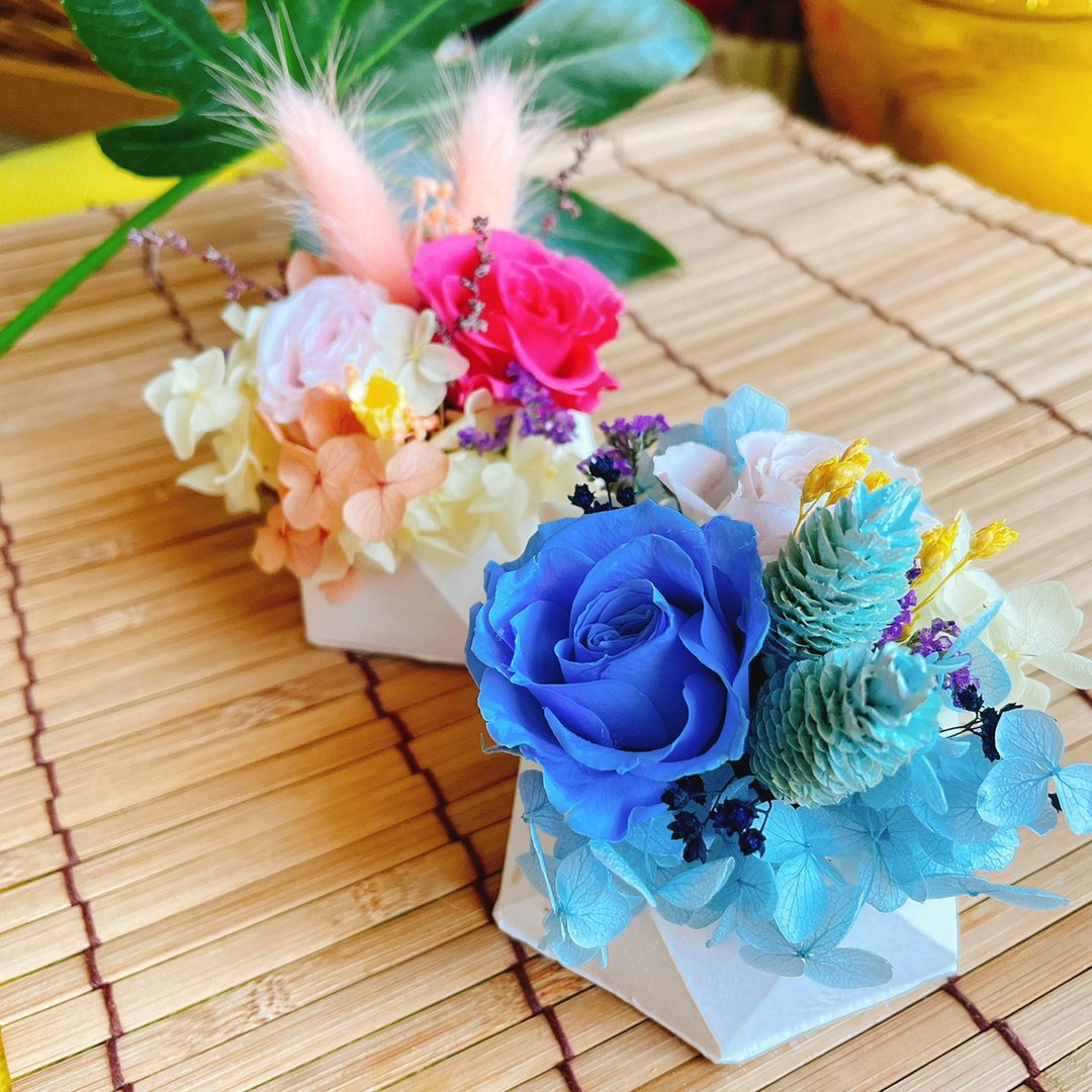 法式香氛小盆花 干燥花DIY材料包 - 植栽 - 植物．花 多色