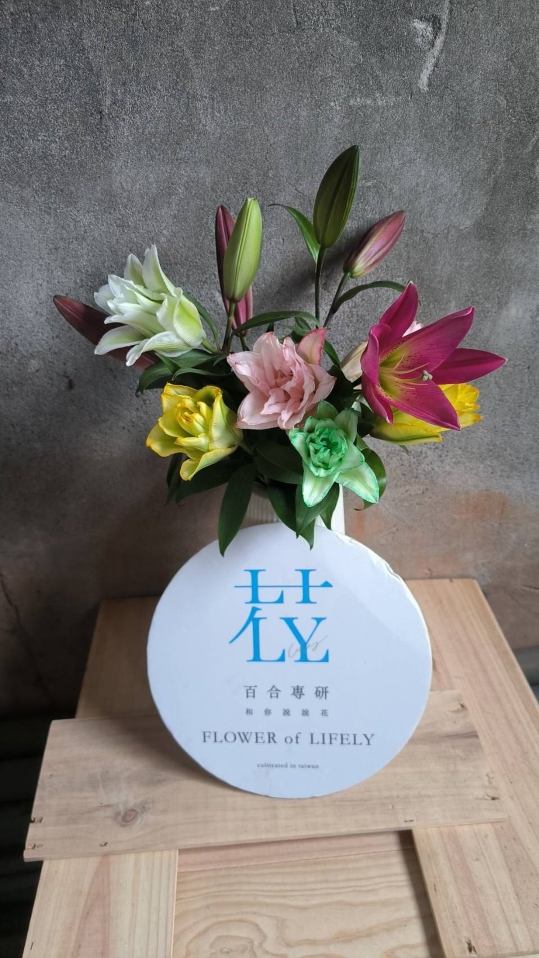 圣诞节限定商品－－－百染花悦礼盒 - 摆饰 - 植物．花 