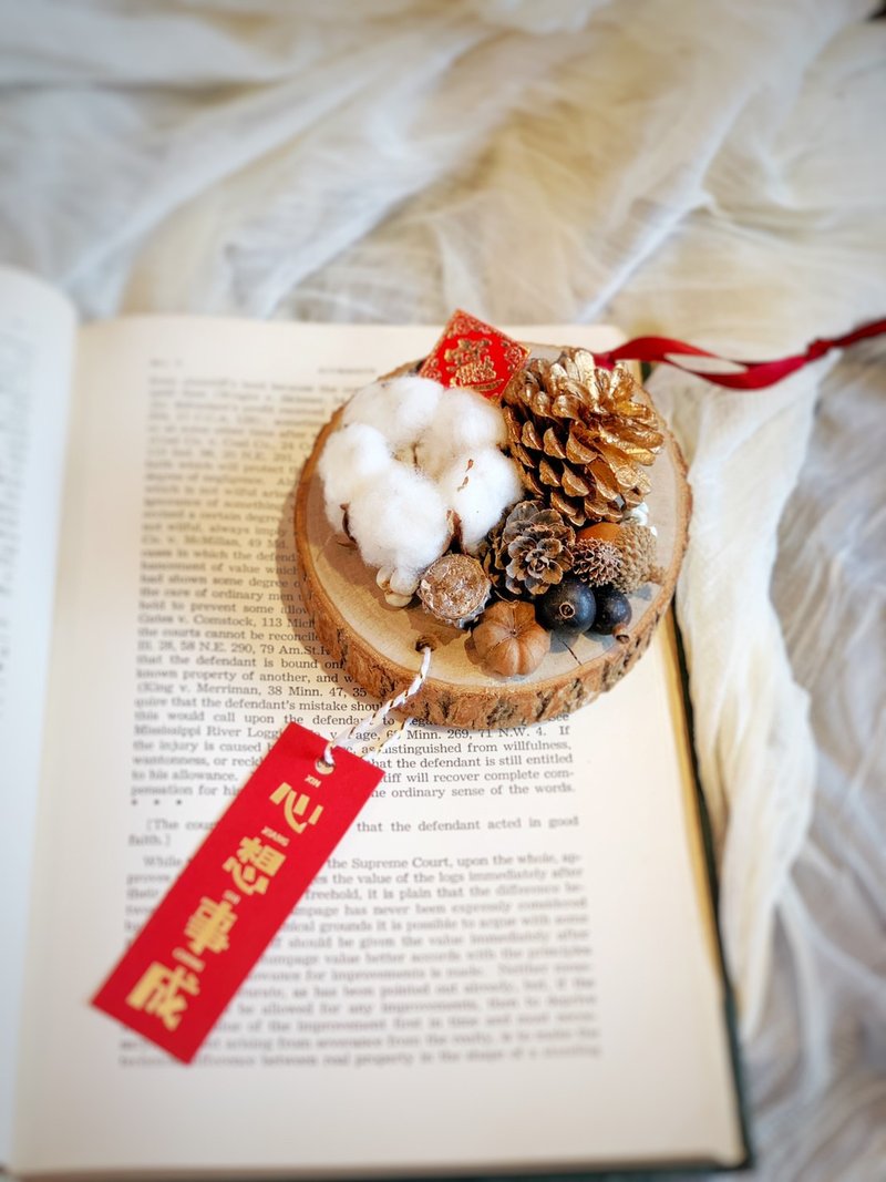 【快速出货】新春种子 (缘份) 挂饰。新年福袋.果实。新年礼物.摆件 - 干燥花/捧花 - 植物．花 咖啡色