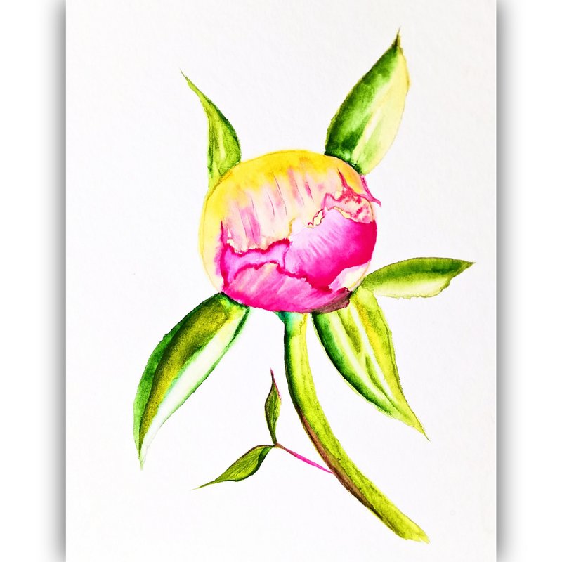 Peony Watercolor Original Flower Artwork Peony Room Decor Wall Art by RayLarArt - 海报/装饰画/版画 - 纸 粉红色