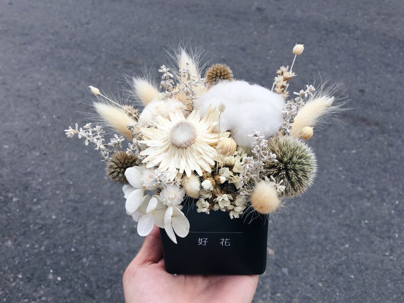 【好花】白色精灵干燥桌花 黑色盆器 情人节礼物 开幕桌礼 居家摆饰 - 植栽/盆栽 - 植物．花 白色