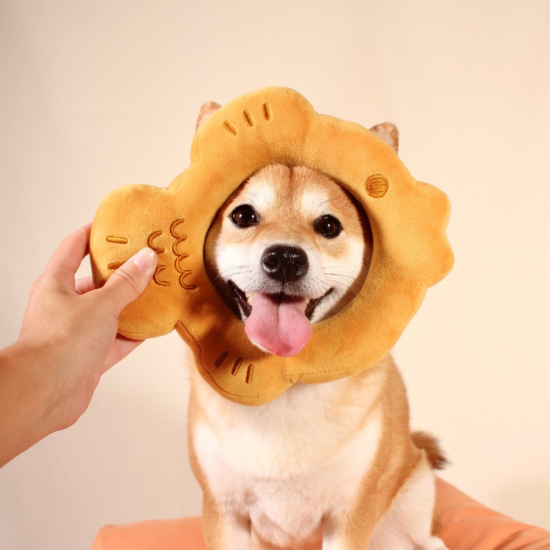 Taiyaki Squeaky BOOP Ring Dog Toy - 玩具 - 环保材料 
