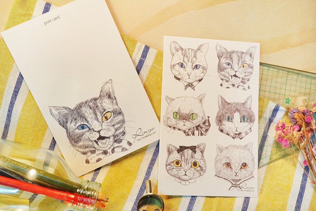 独一无二的猫咪们 明信片 - 卡片/明信片 - 纸 白色
