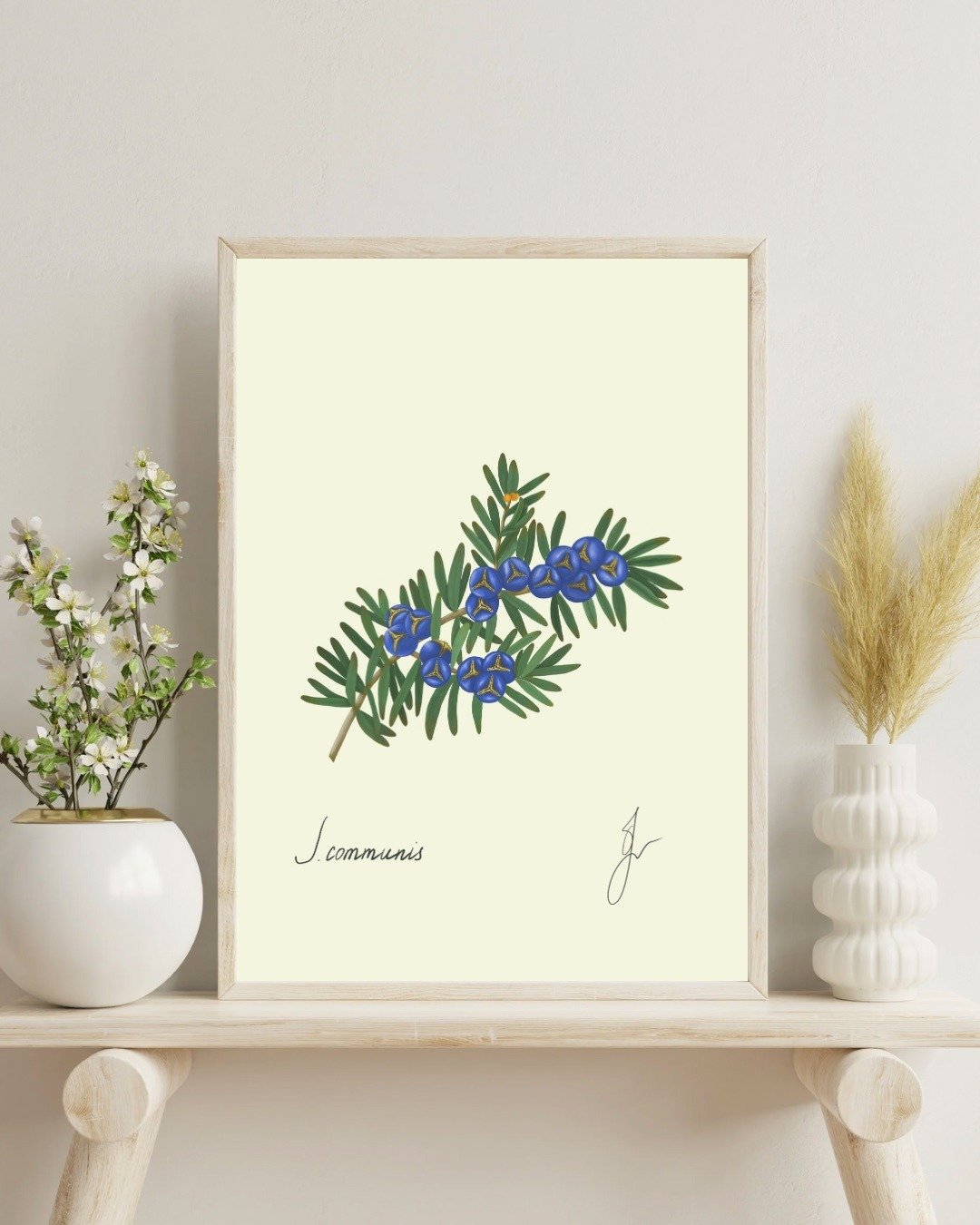刺柏植物画 手绘植物挂画 - 电子手绘真人画像/绘画/插画 - 其他材质 