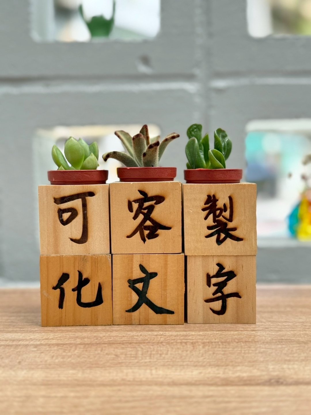 免费雷雕logo文字 松木多肉盆栽 大量订制 可加购包装 - 植栽/盆栽 - 木头 咖啡色