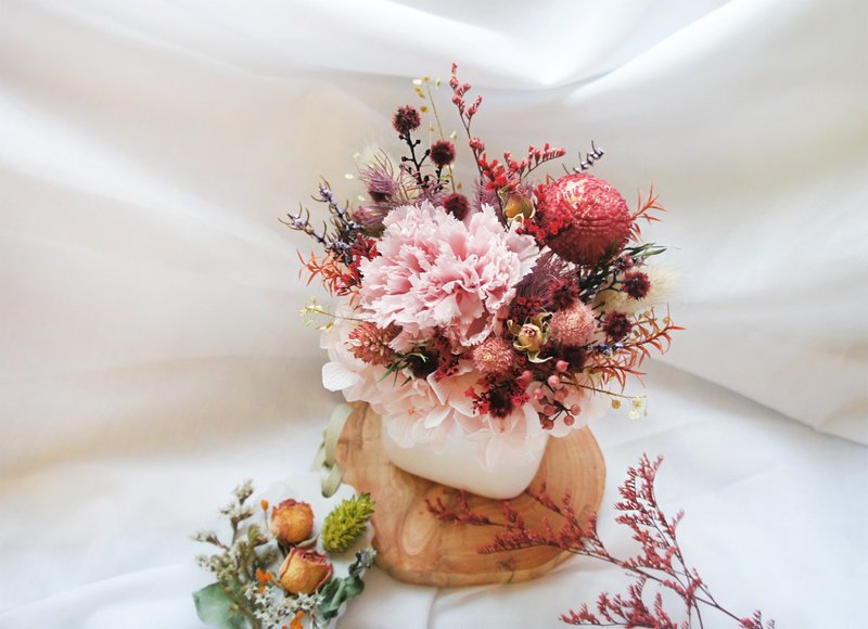 【不凋康乃馨盆花_魅力】 - 植栽/盆栽 - 植物．花 红色